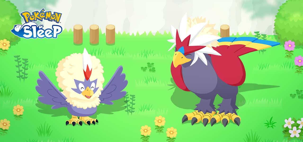 Actualités Pokemon Sleep ajoute Rufflet et Braviary à vos rencontres de rêve en janvier Par Catherine Dellosa