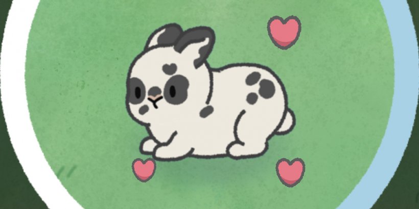 Gros plan sur le lapin Pippen