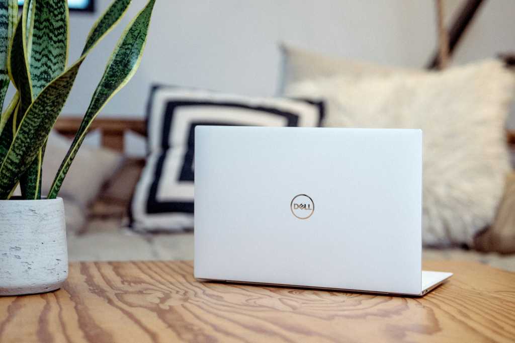 Dell laptop next to green plant in cozy home