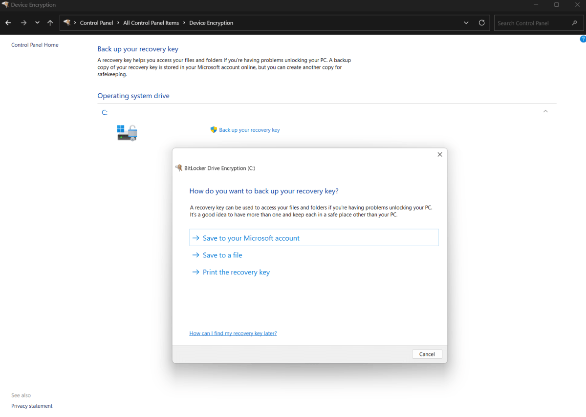 Écran de téléchargement de la clé de chiffrement de l’appareil dans Windows 11