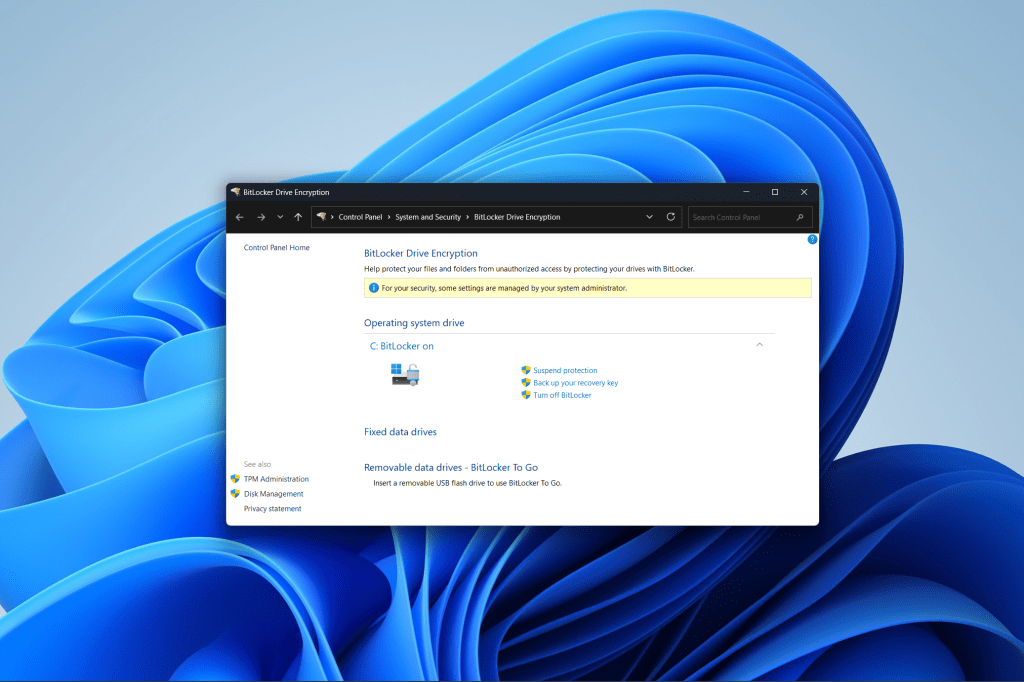 BitLocker window on default Windows 11 background
