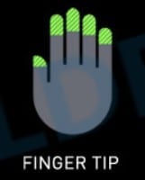 finger tip