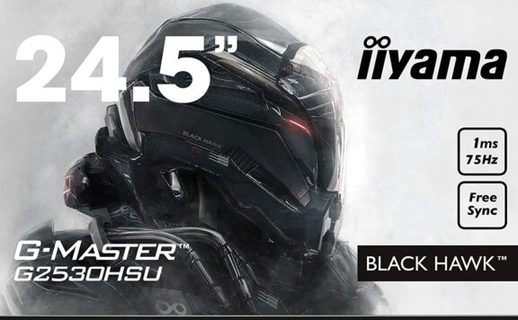 écran Iiyama G-Master Black Hawk G2530HSU