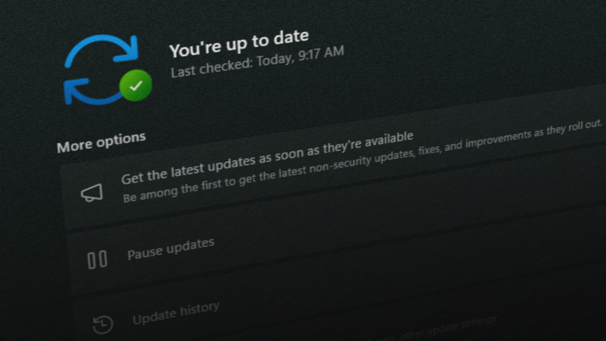 Capture d'écran de Windows Update
