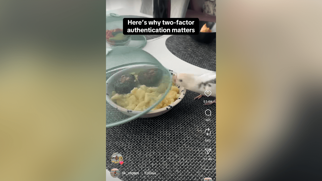 Edek the Parakeet - Instagram 2FA demonstration