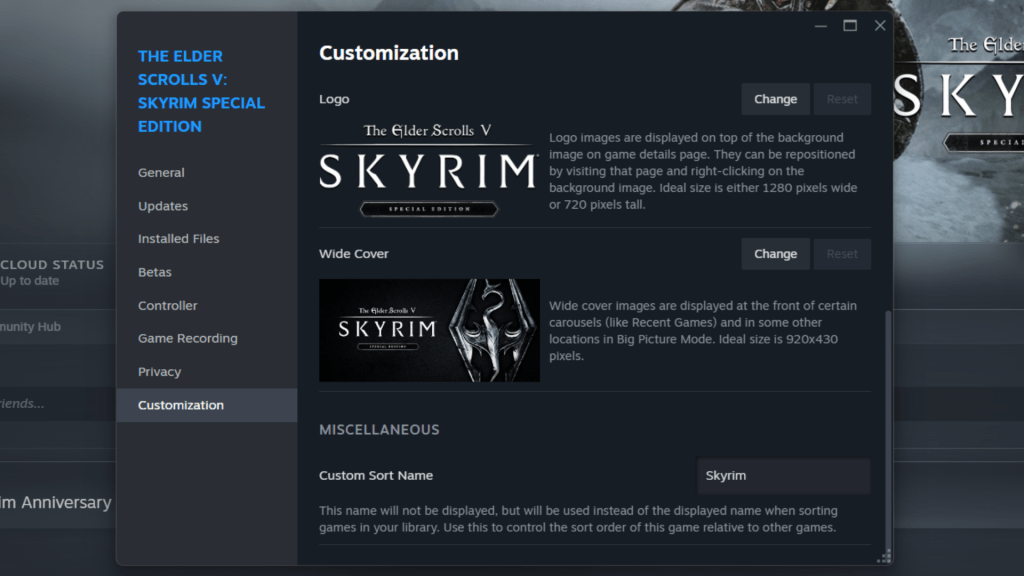 Steam Skyrim customization tab