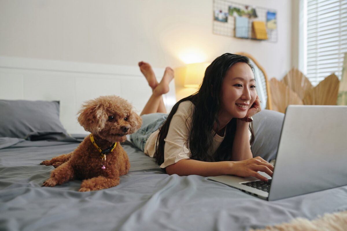 Curious Dog Looking at Laptop Screen