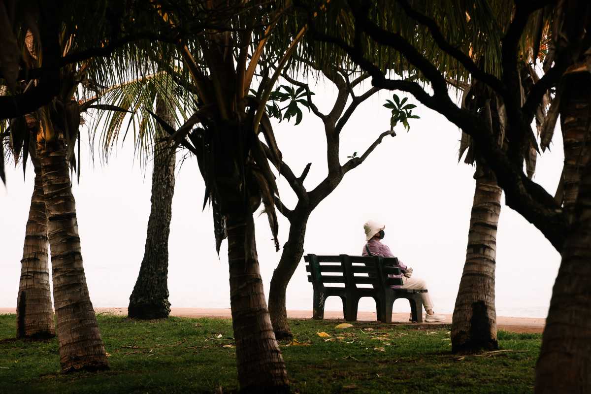 Assis dans un parc