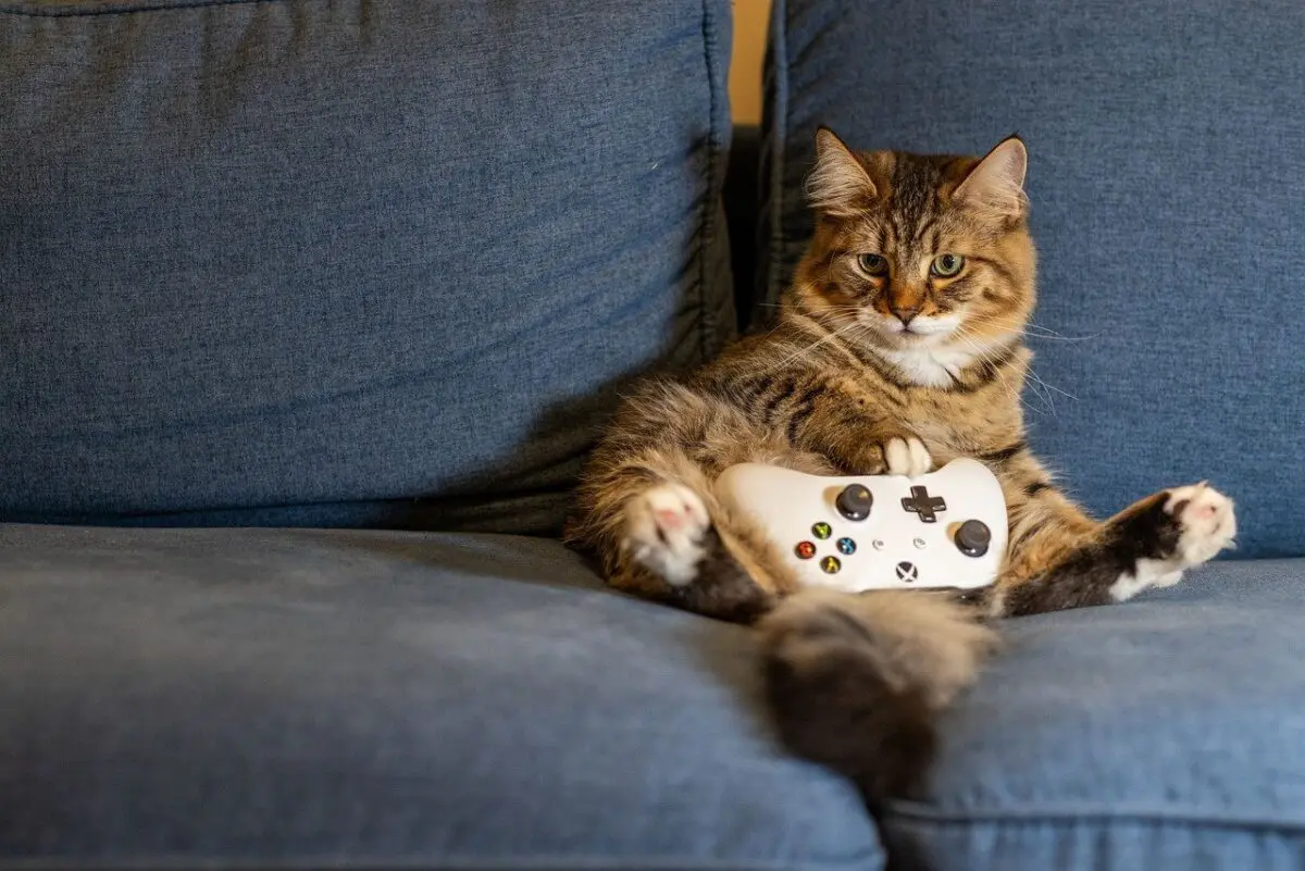 Que signifie farmer dans le vocabulaire des jeux vidéo ?
