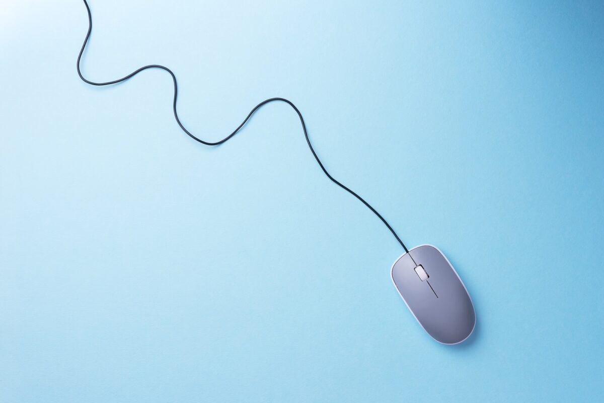 Souris d'ordinateur grise